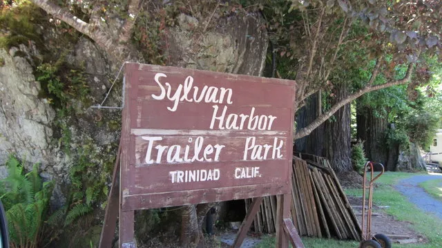 sylvan-harbor-rv-park-trinidad-ckivv