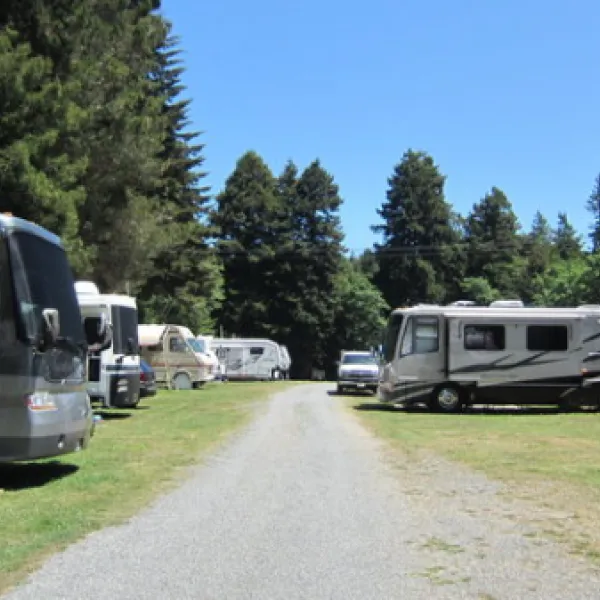 sylvan-harbor-rv-park-trinidad-itzti