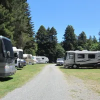 sylvan-harbor-rv-park-trinidad-itzti
