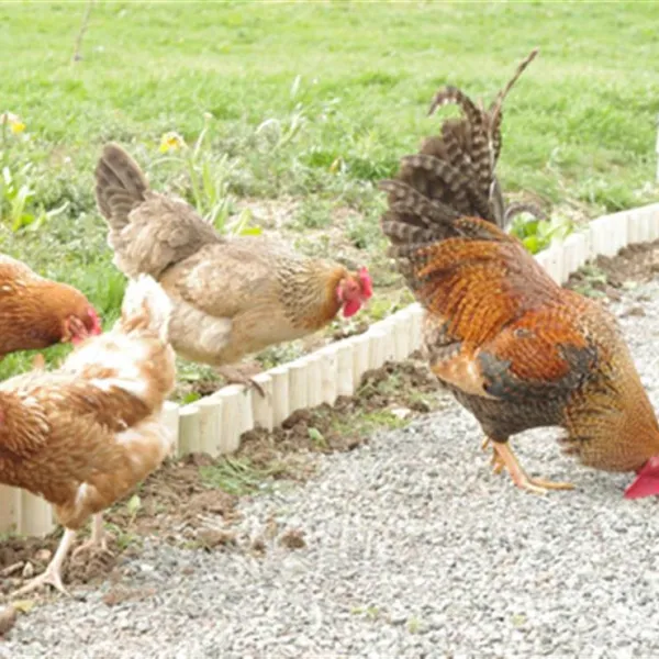 standen-lodge-farm-campsite-mablethorpe-xwddr