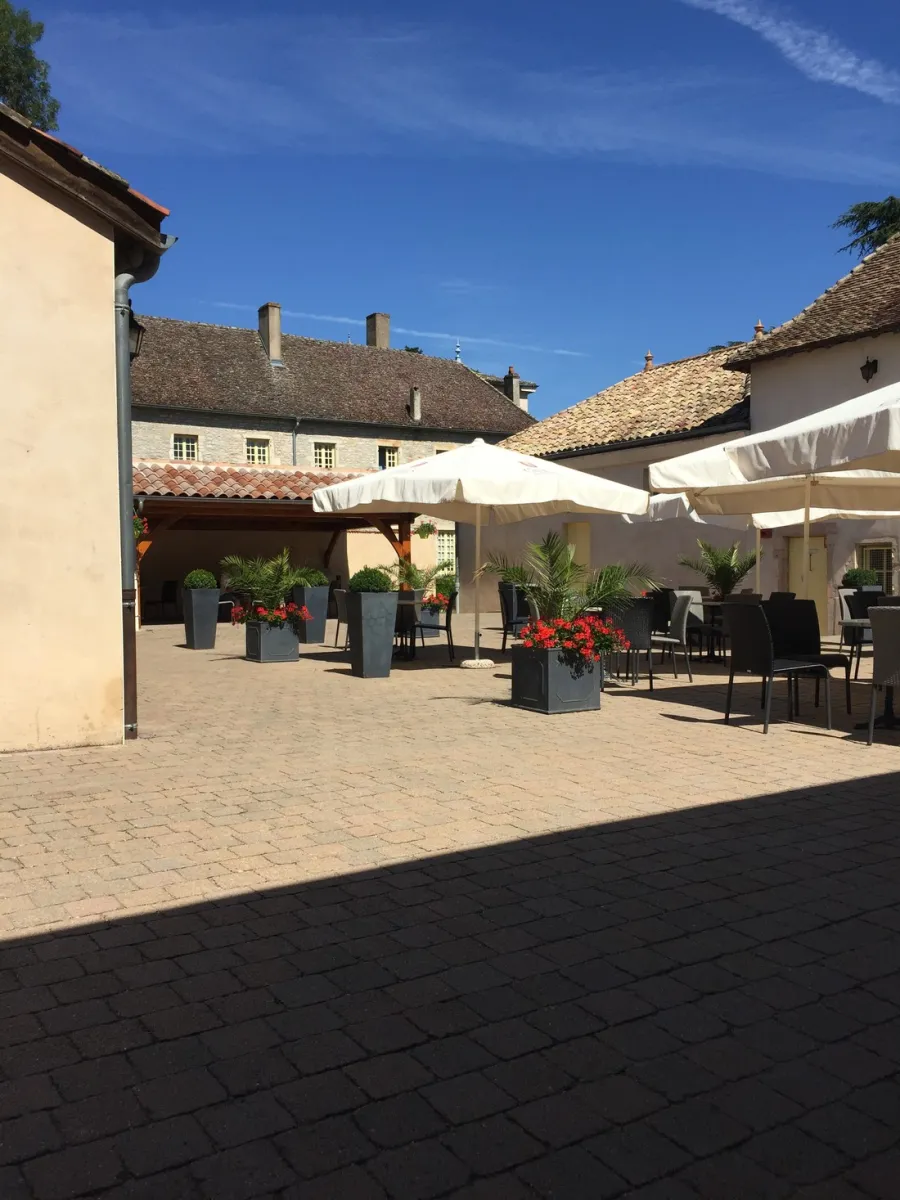 chateau-de-leperviegravere-gigny-sur-saocircne-5jimt