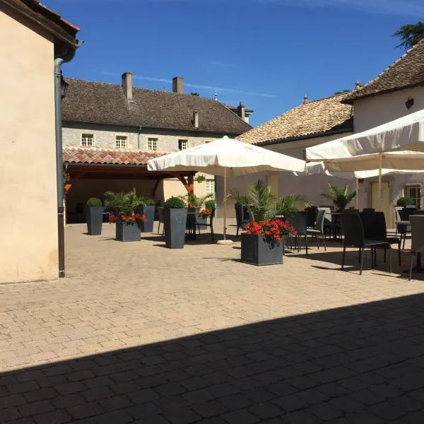 chateau-de-leperviegravere-gigny-sur-saocircne-5jimt
