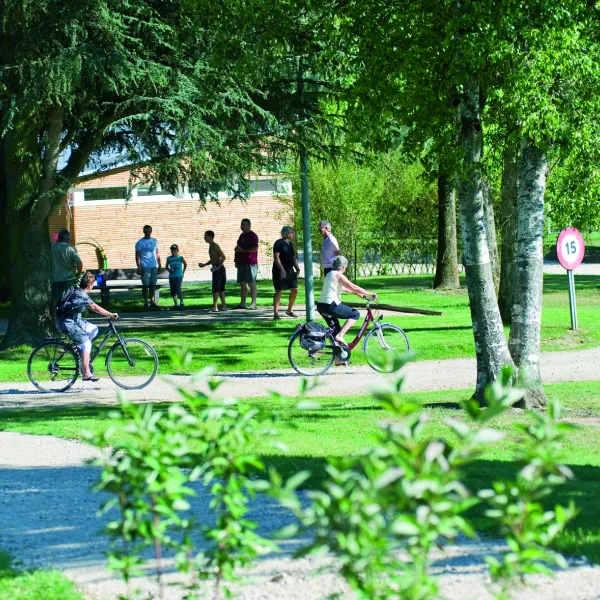le-nid-du-parc-villars-les-dombes-vezpr