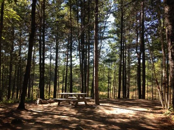 big-moose-inn-cabins-campground-inc-millinocket-lake-pisqq