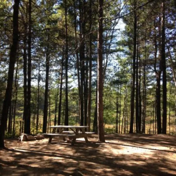 big-moose-inn-cabins-campground-inc-millinocket-lake-pisqq