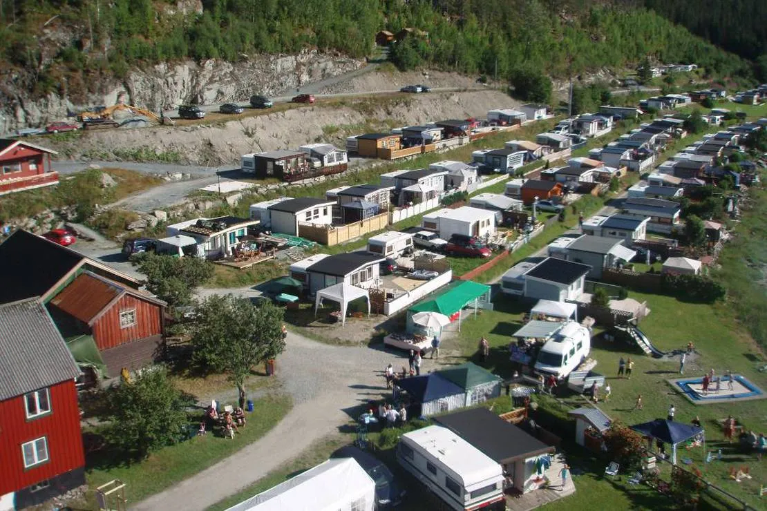 asholmen-camping-frosta-euivy