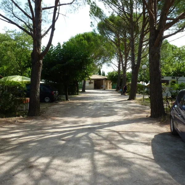 municipal-de-bellerive-monteux-fnydc