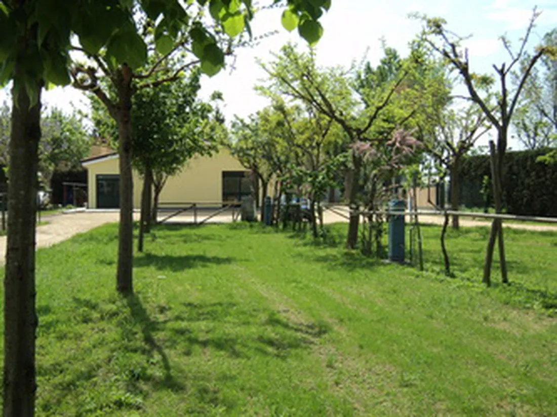 agricampeggio-da-scarpa-cavallino-treporti-vhyyu