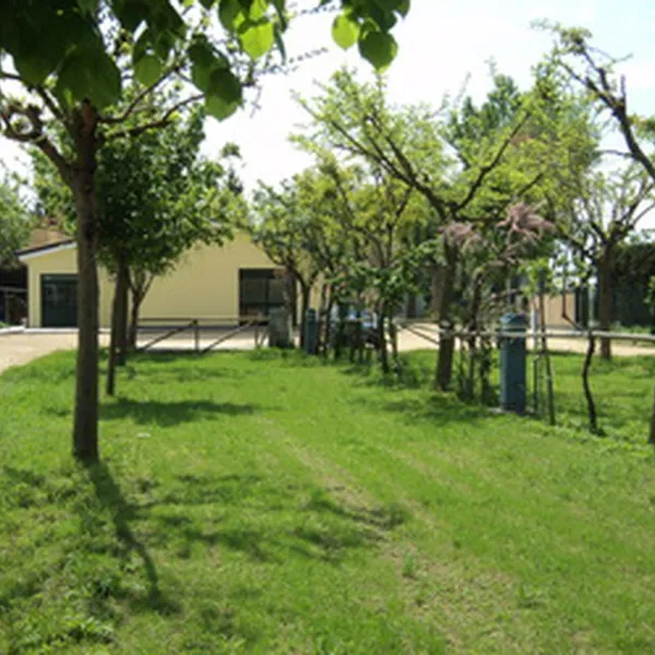 Agricampeggio Da Scarpa