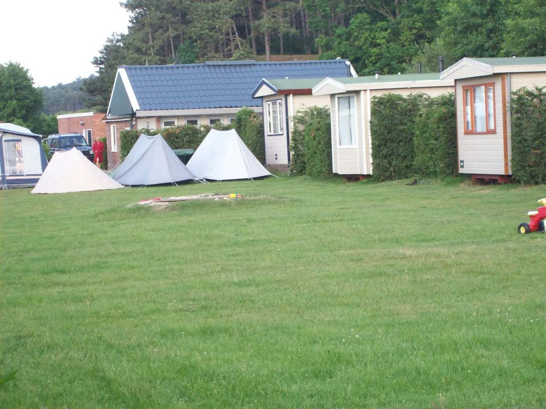 wulp-terschelling-17i4w