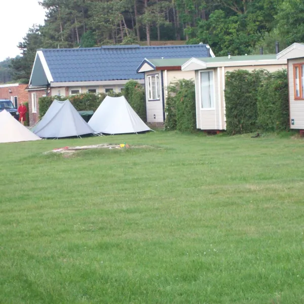 wulp-terschelling-17i4w