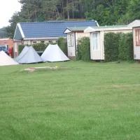 wulp-terschelling-17i4w