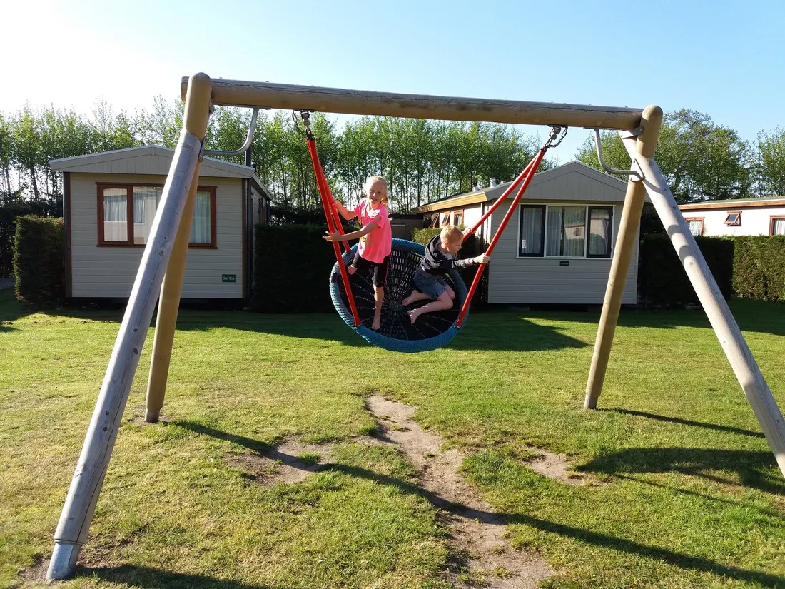 wulp-terschelling-70pn6