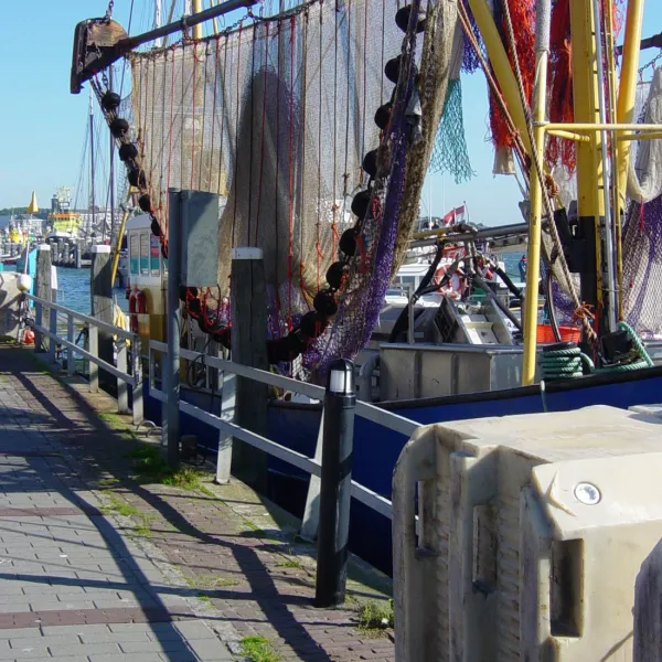 wulp-terschelling-nwsis