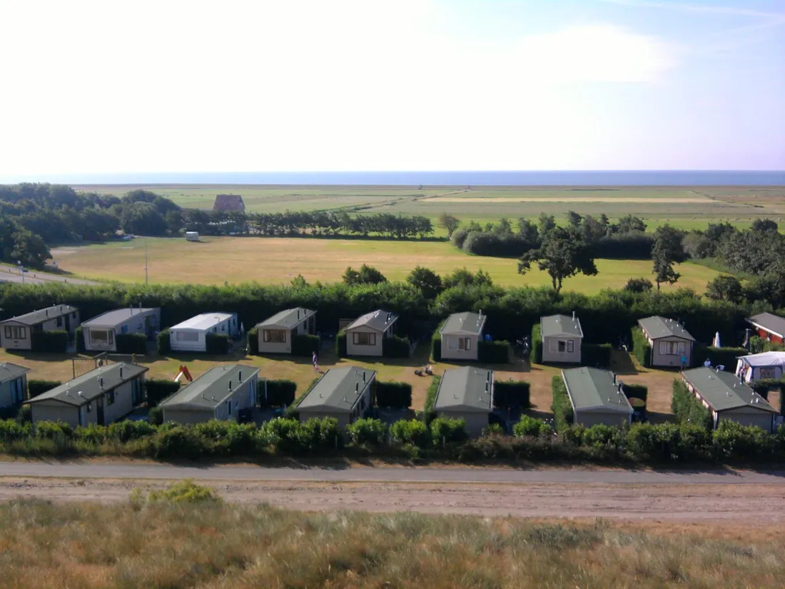 wulp-terschelling-ymq0q