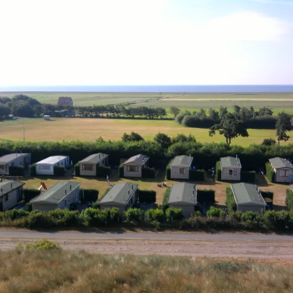 wulp-terschelling-ymq0q