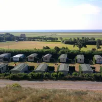 wulp-terschelling-ymq0q