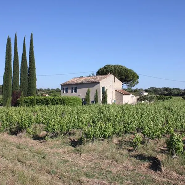 le-ventoux-mazan-xns6m