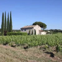 le-ventoux-mazan-xns6m