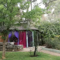 gypsy-wagons-clarens-ok4b5