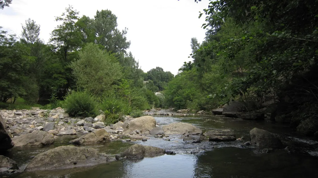 le-moulin-donclaire-coux-huawe