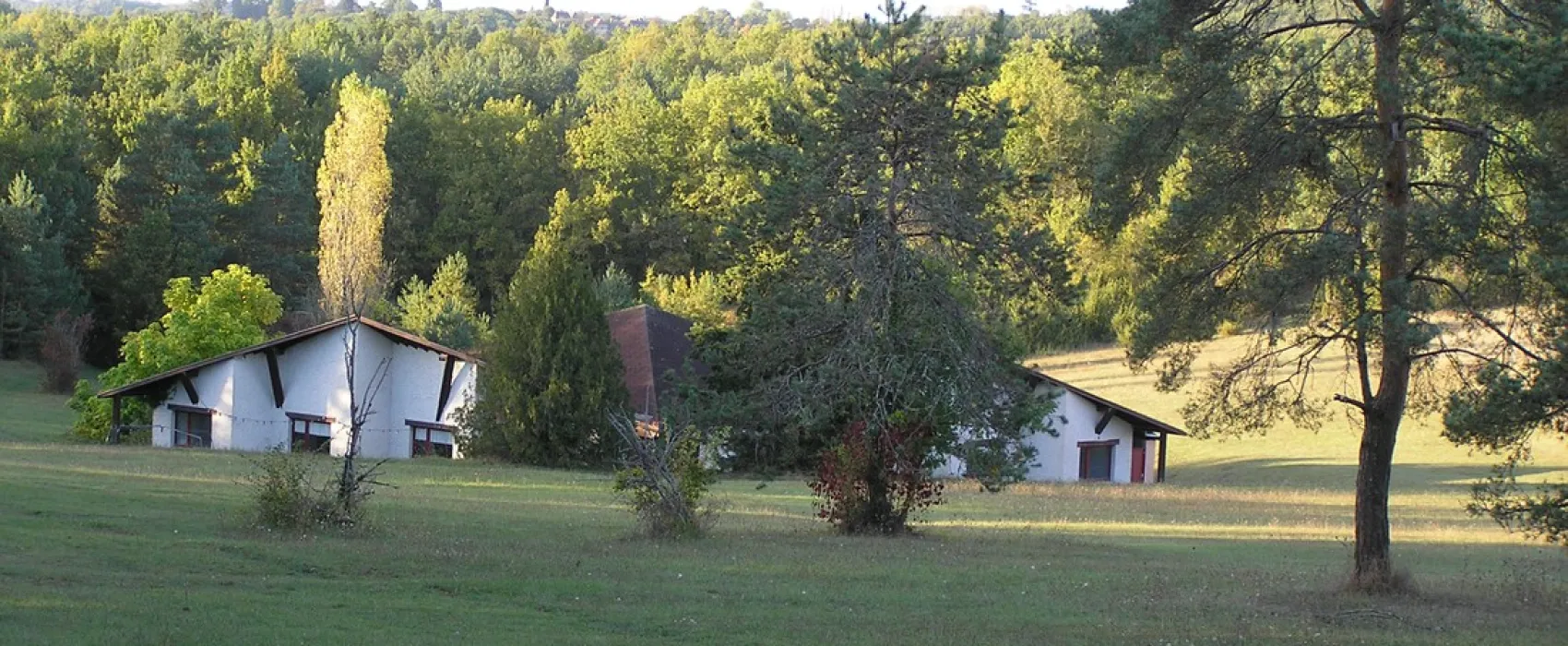 La Forêt