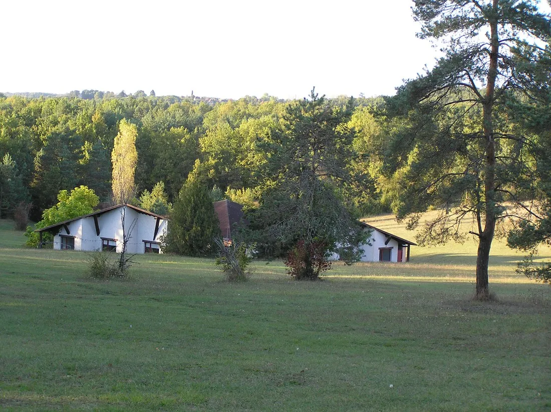 la-foret-pezuls-dordogne-ihafa