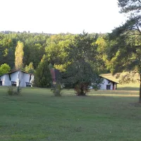 la-foret-pezuls-dordogne-ihafa