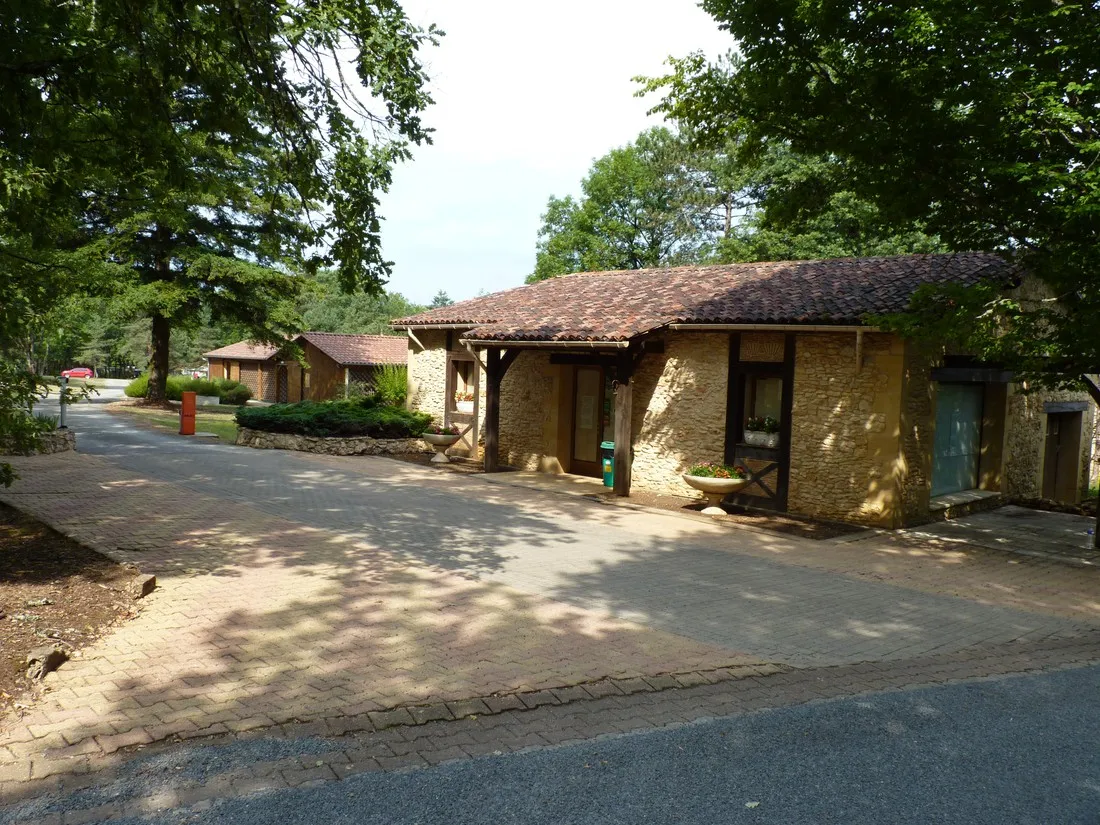 la-foret-pezuls-dordogne-iysvu