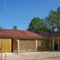 la-foret-pezuls-dordogne-yzvnr
