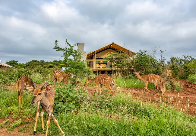 africamps-at-white-elephant-safaris-pongola-game-reserve-south-pongola-f7wrc
