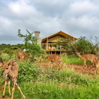 africamps-at-white-elephant-safaris-pongola-game-reserve-south-pongola-f7wrc