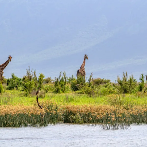 africamps-at-white-elephant-safaris-pongola-game-reserve-south-pongola-gzgdn