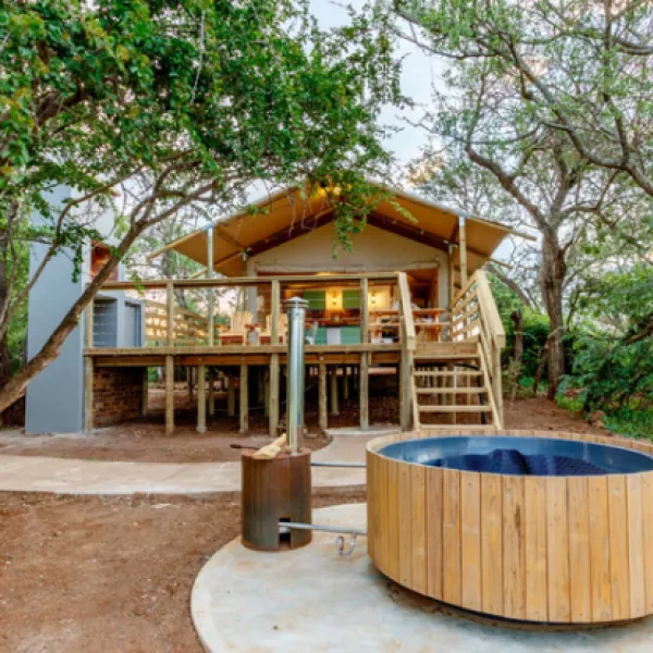 AfriCamps at White Elephant Safaris