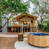 AfriCamps at White Elephant Safaris