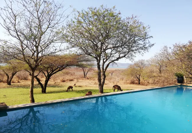 africamps-at-white-elephant-safaris-pongola-game-reserve-south-pongola-paxew