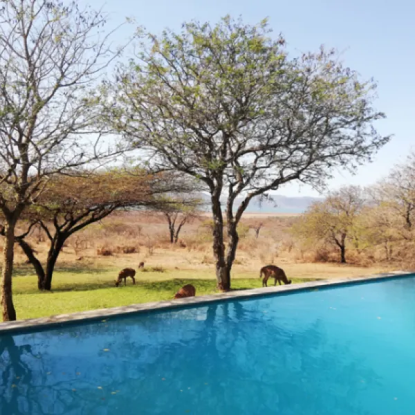 africamps-at-white-elephant-safaris-pongola-game-reserve-south-pongola-paxew