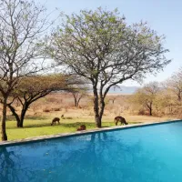africamps-at-white-elephant-safaris-pongola-game-reserve-south-pongola-paxew