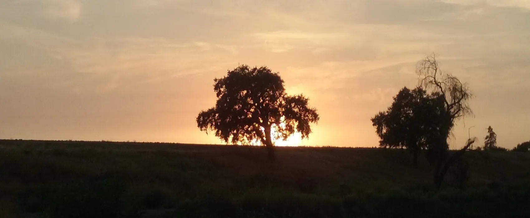 Travelhome Park