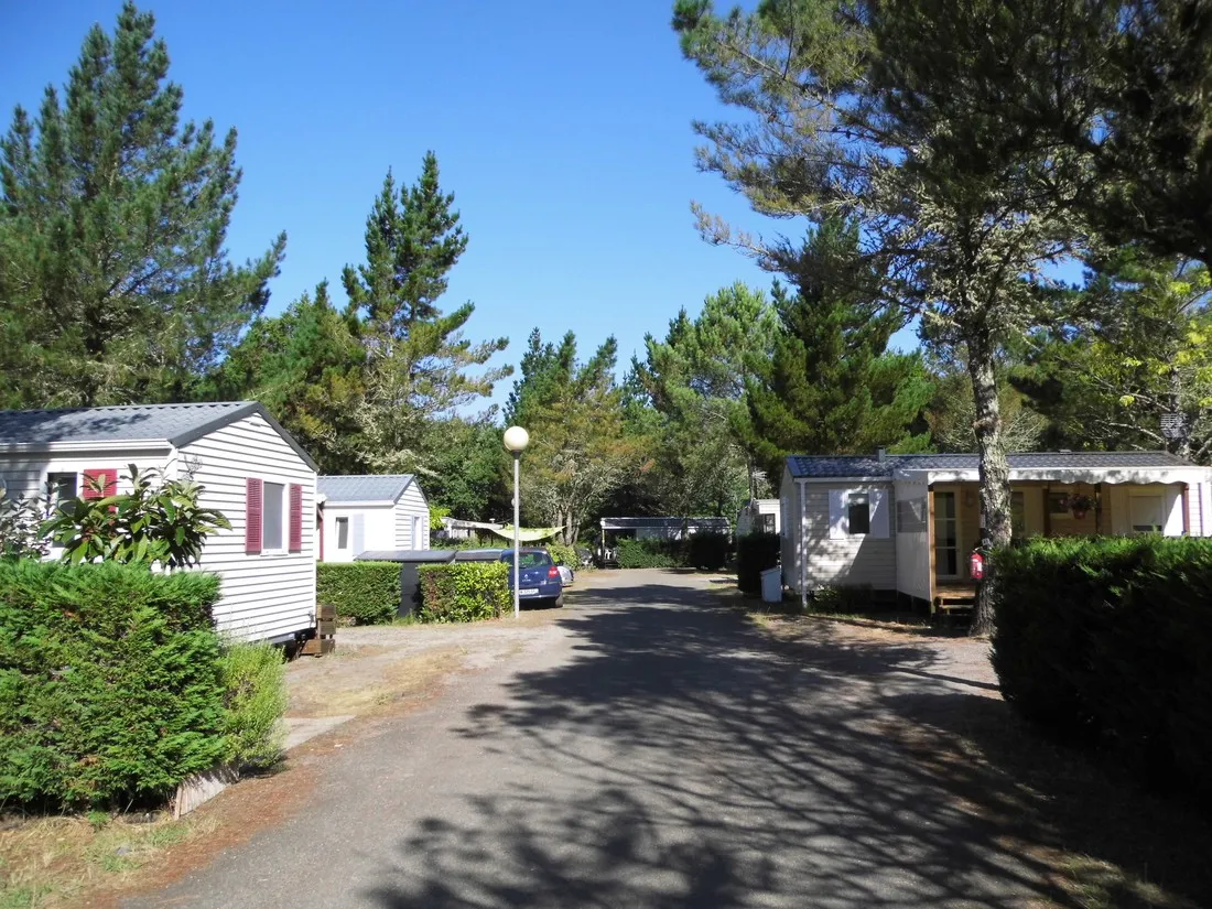 landes-azur-azur-landes-qyxs8