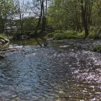 monikas-ferienhof-familotel-sauerland-wenholthausen-vfjrx