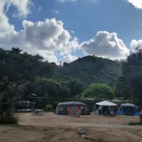 lilac-oaks-rv-park-campground-valley-center-1phm9
