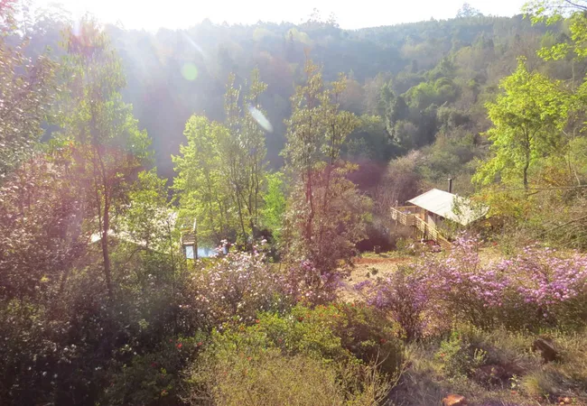 africamps-at-magoebaskloof-magoebaskloof-cheerio-gardens-haenertsburg-4gevr