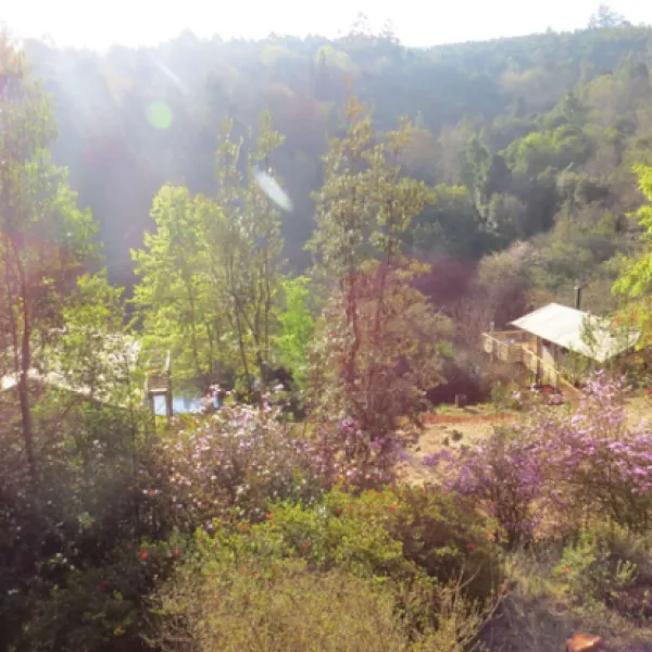 africamps-at-magoebaskloof-magoebaskloof-cheerio-gardens-haenertsburg-4gevr