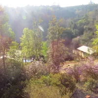 africamps-at-magoebaskloof-magoebaskloof-cheerio-gardens-haenertsburg-4gevr