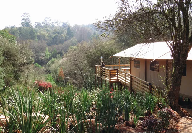 africamps-at-magoebaskloof-magoebaskloof-cheerio-gardens-haenertsburg-8zfpz
