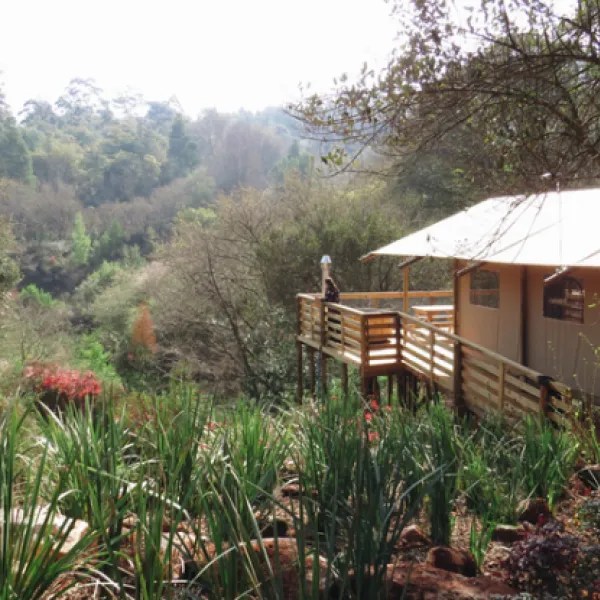 AfriCamps at Magoebaskloof