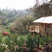 africamps-at-magoebaskloof-magoebaskloof-cheerio-gardens-haenertsburg-8zfpz
