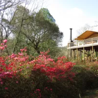 africamps-at-magoebaskloof-magoebaskloof-cheerio-gardens-haenertsburg-rjvni