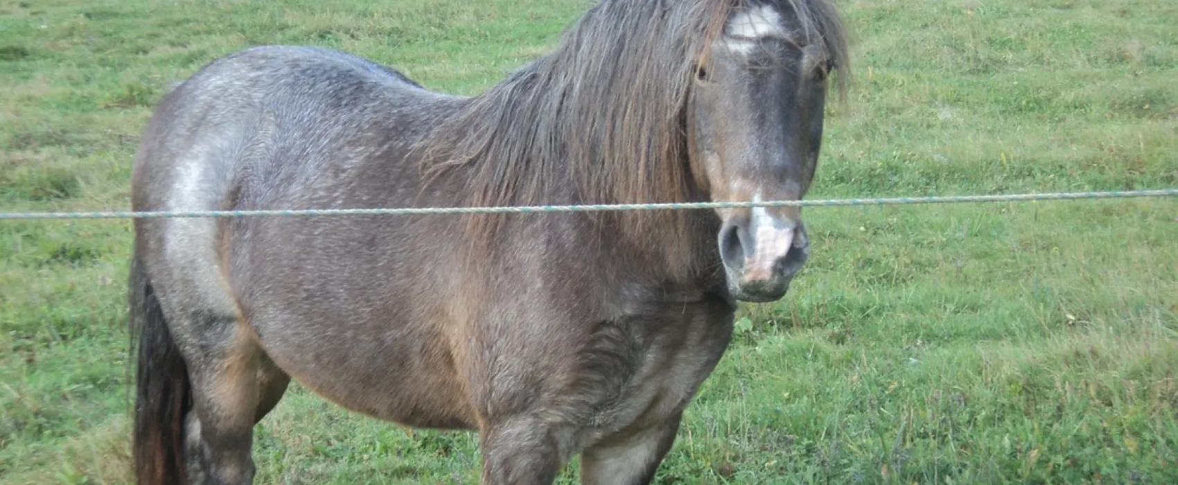 Le Trou du Cheval